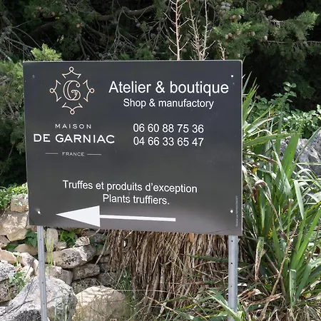 Beau Avec Couloir De Nage