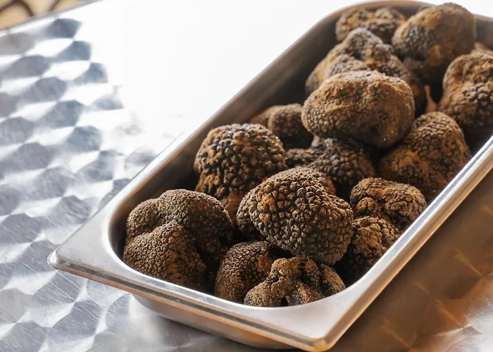 Beau Avec Couloir De Nage Landsted Le Garn