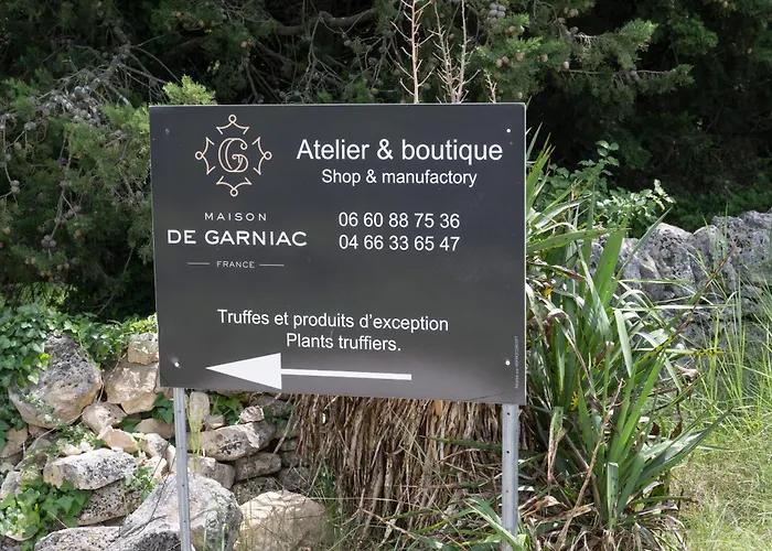 Beau Avec Couloir De Nage